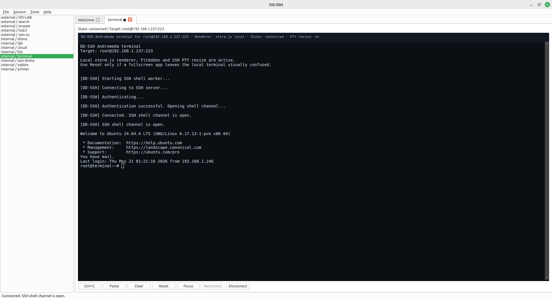 DD-SSH connected 
    xterm.js SSH terminal